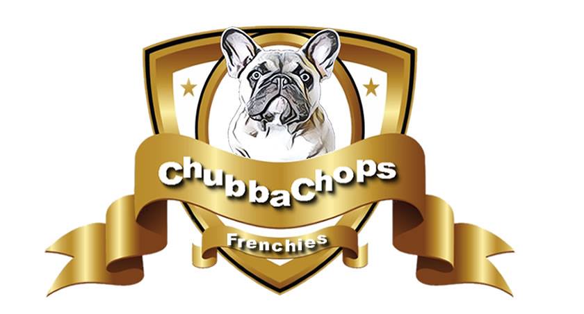 French Bulldog Breeder ChubbaChops