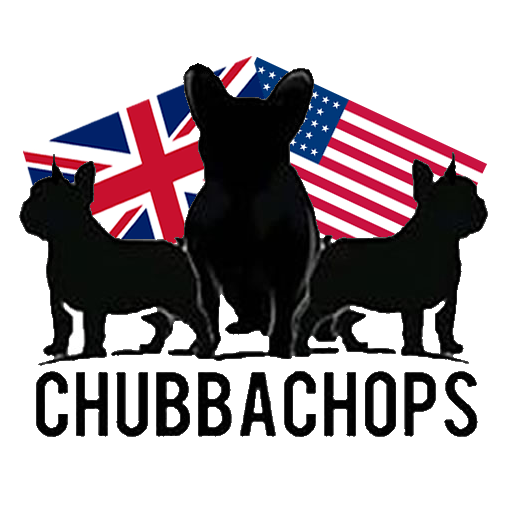 Chubbachops dog breeder