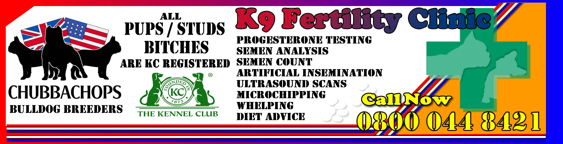 Dog Progesterone Testing - K9 Progesterone Test - Dog Testing